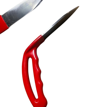 One Piece Whale Tail Special Edition