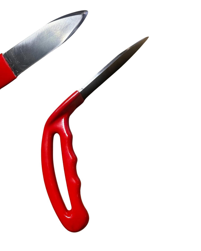 One Piece Whale Tail Special Edition